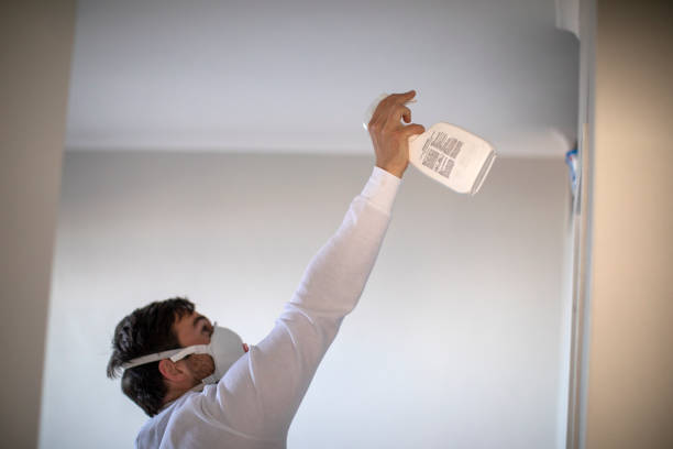 Best Commercial Mold Removal  in Belle, MO