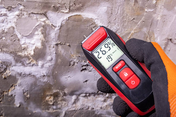 Best Fast Mold Removal  in Belle, MO