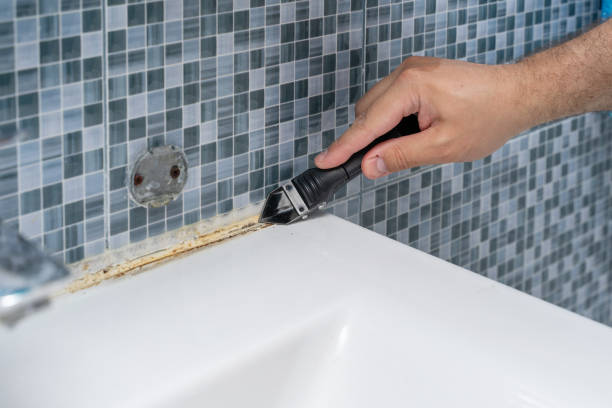 Best Mold Inspection  in Belle, MO